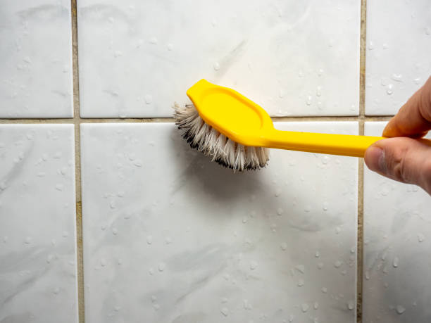 Best Mold Removal and Inspection  in West Columbia, TX
