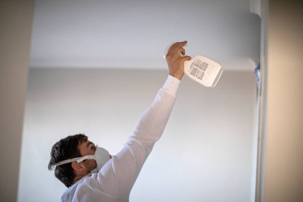 Best Mold Remediation Experts  in West Columbia, TX