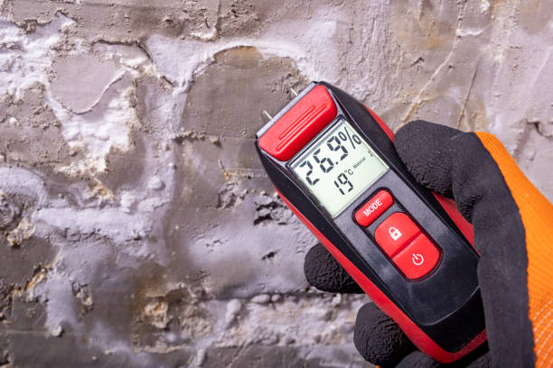 Best Toxic Mold Removal  in West Columbia, TX