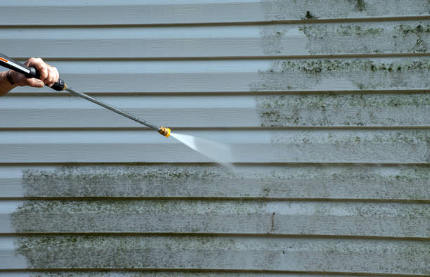 Mold Removal and Inspection in West Columbia, TX