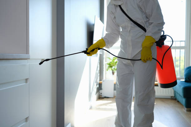 Best Mold Testing  in West Columbia, TX