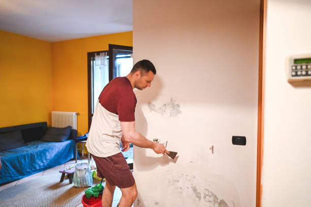 Reliable West Columbia, TX Mold Removal Solutions
