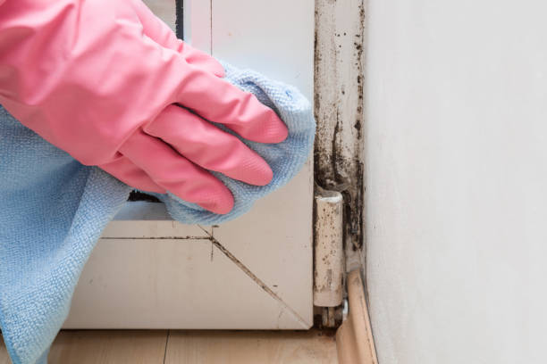 Water Damage Restoration in West Columbia, TX
